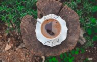 Ground Coffee Dispenser: The Must-Have Tool for Coffee Lovers Seeking Freshness and Convenience