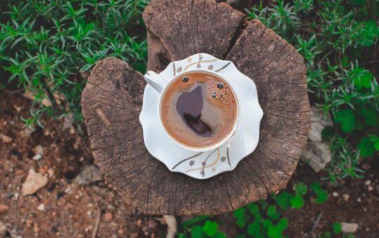 Ground Coffee Dispenser: The Must-Have Tool for Coffee Lovers Seeking Freshness and Convenience