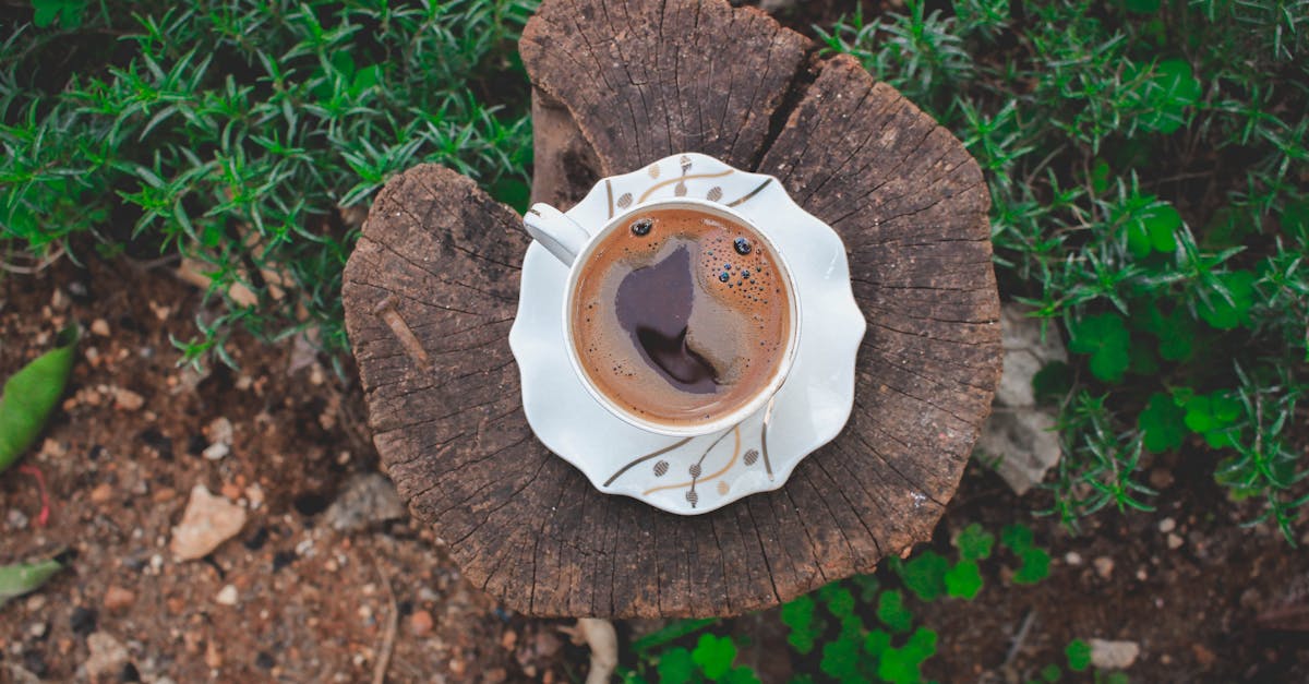 Ground Coffee Dispenser: The Must-Have Tool for Coffee Lovers Seeking Freshness and Convenience