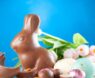 Chocolate Mold Bunny: Create Nostalgic Easter Treats & Cherished Memories with DIY Bunny Molds