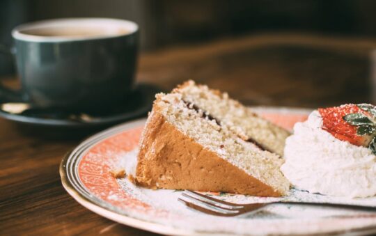 Sliced Cake Containers: The Best Way to Keep Cake Slices Fresh and Mess-Free on the Go