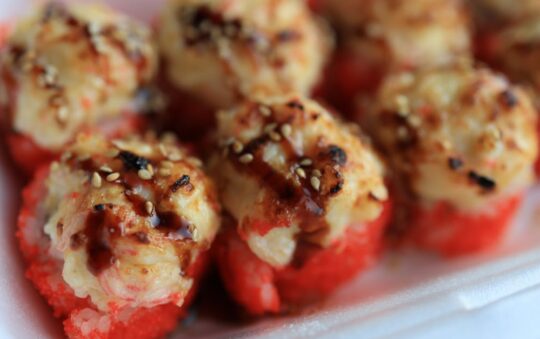 Container Sushi: The Ultimate Grab-and-Go Meal for Busy Food Lovers